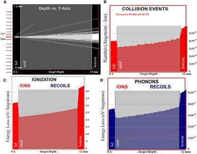 Reactive oxygen species may be involved in the distinctive biological effects of different doses of 12C6+ ion beams on Arabidopsis